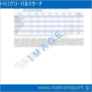 市場と産業調査レポートのイメージ